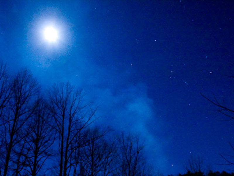 Fireflies at Elkmont