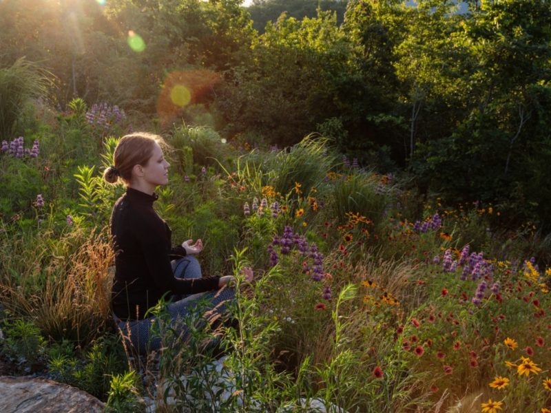 Why You Should Try Meditating Outside