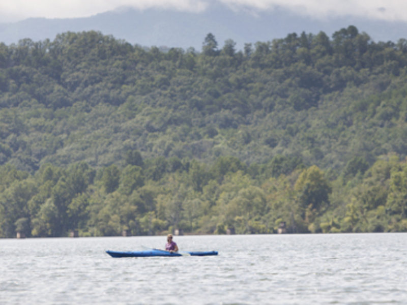 Row, row, row and float