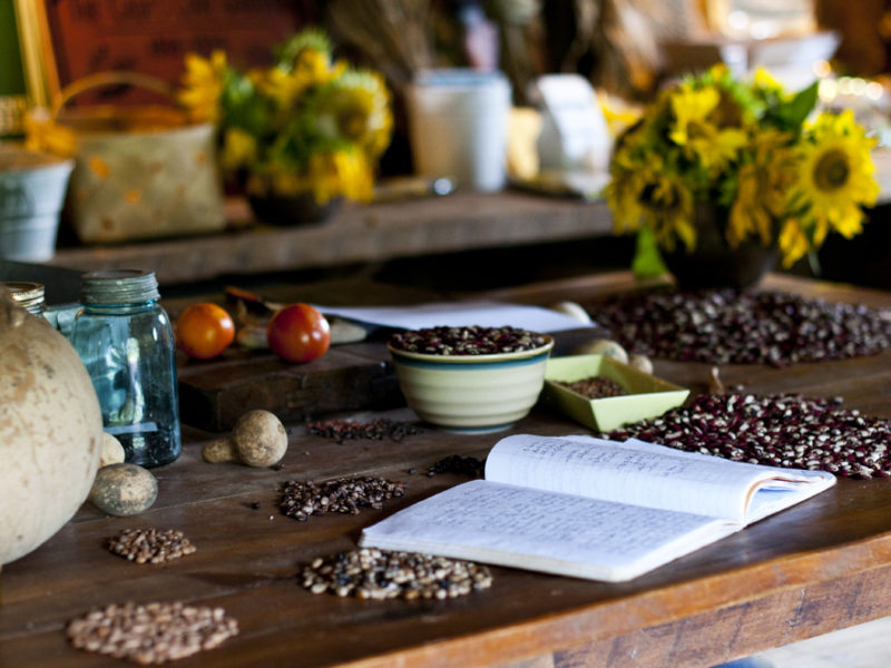 Searching for the Past