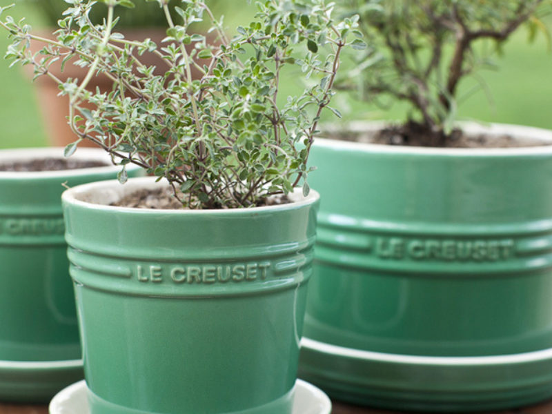 Forty Inches and a Mule