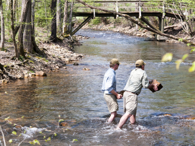 Ultimate Conservationist