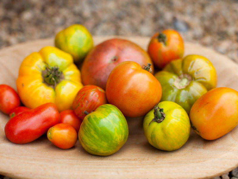 Tomato Season
