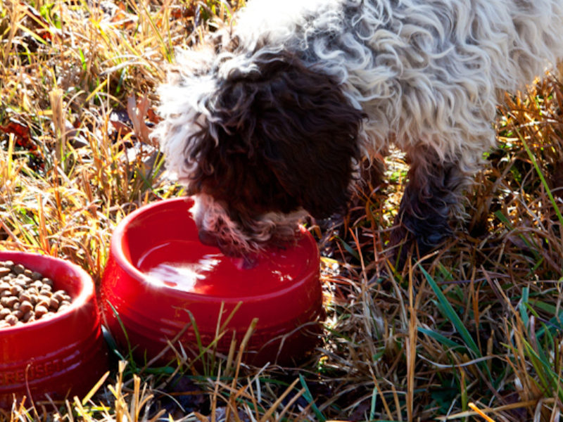 Le Creuset Kitchen Sessions with Garden Manager Jeff Ross