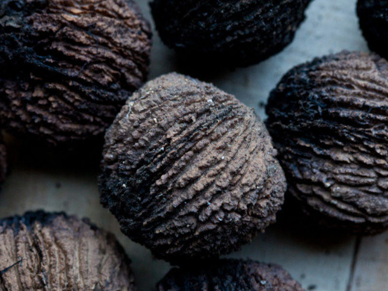 Black Walnuts
