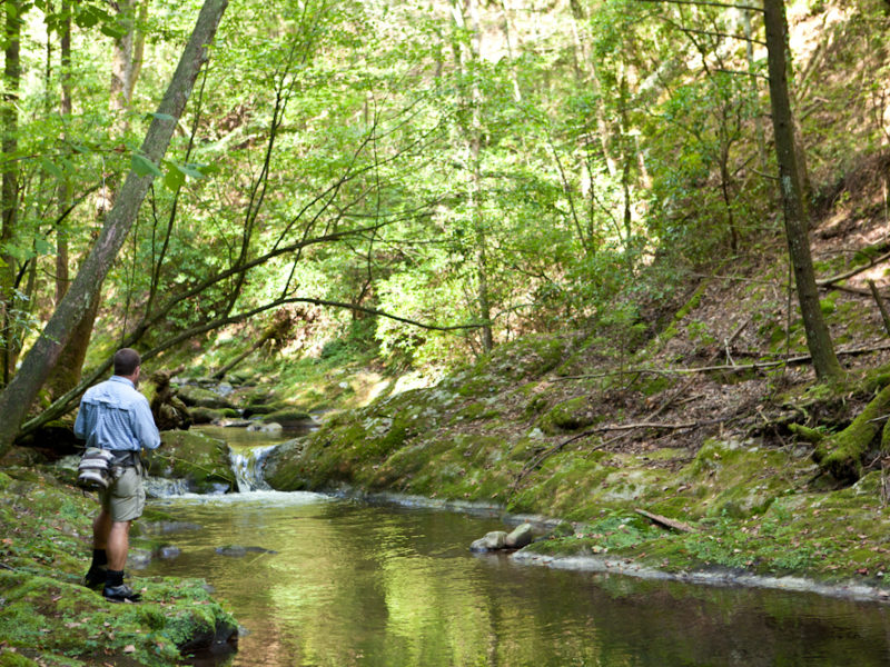 Why Fly Fish