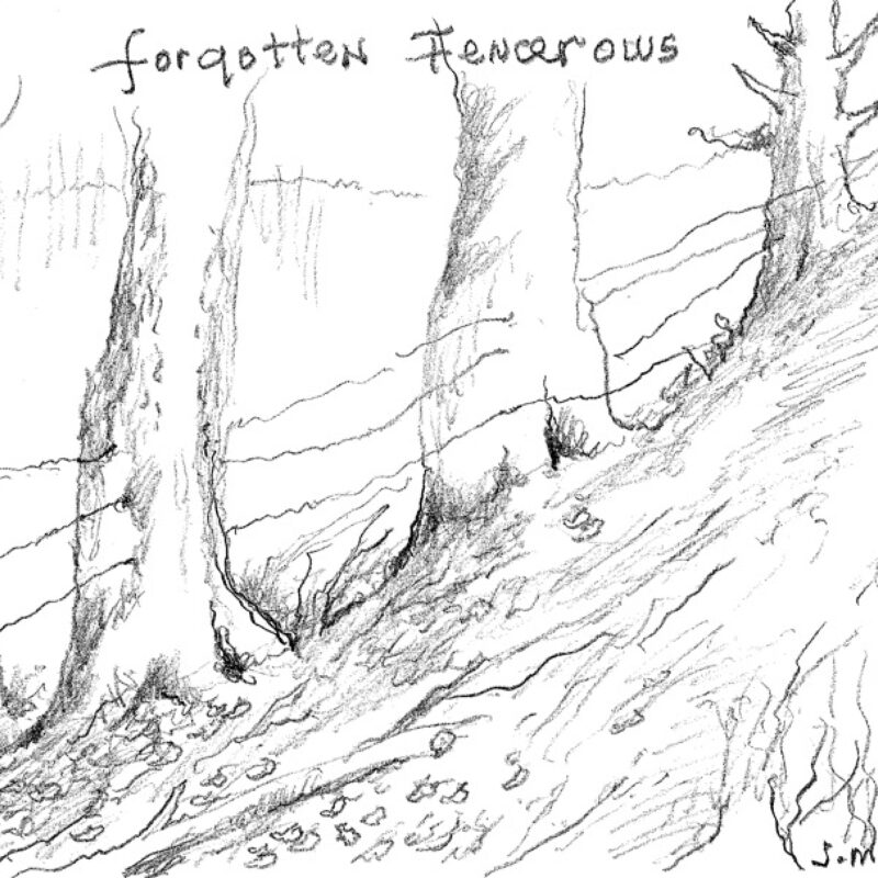 Forgotten Fencerows
