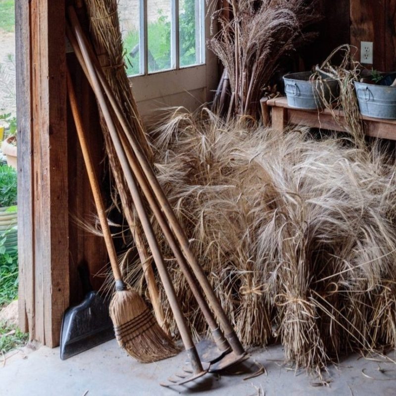 This is the Year to Start a Garden - Part 1