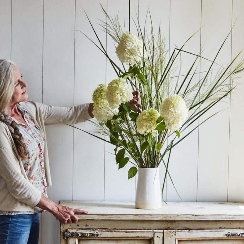 Meet the Mountain Team: Elizabeth Daniels