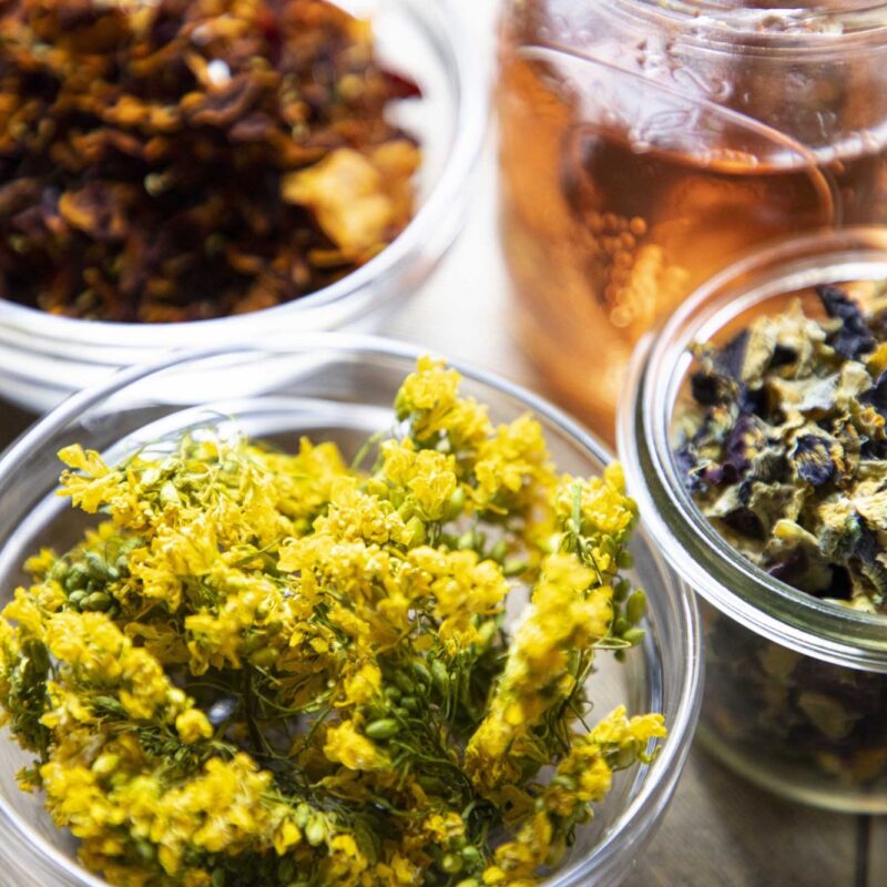 Eat What You Can, Can What You Can’t