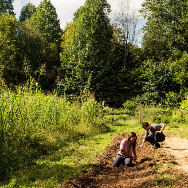 Preparing for the Growing Season Ahead