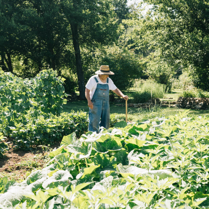 Getting Ready for the Third Season