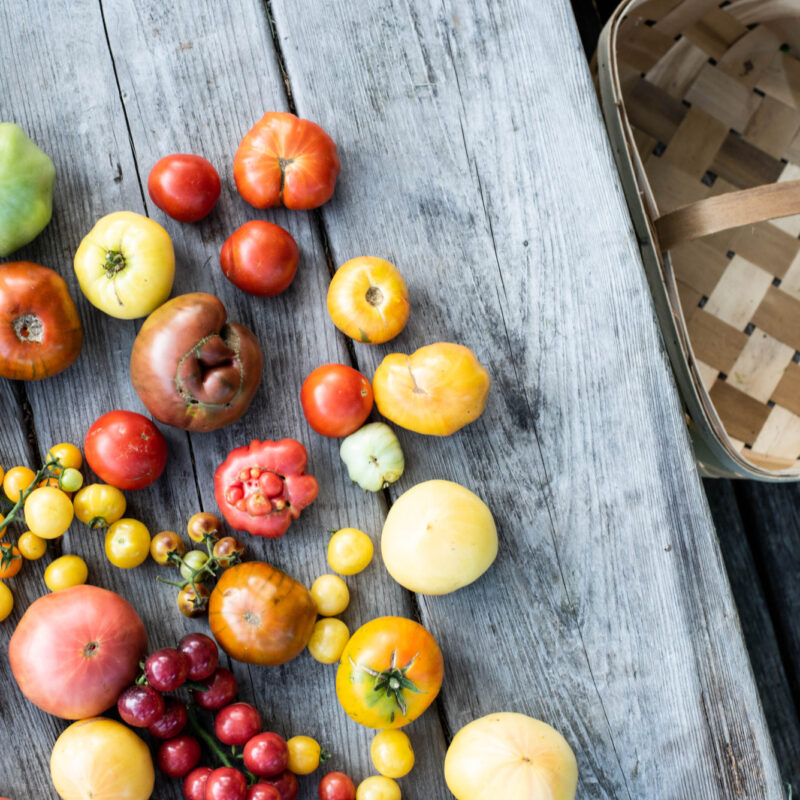 Tomato Tastings with John Coykendall