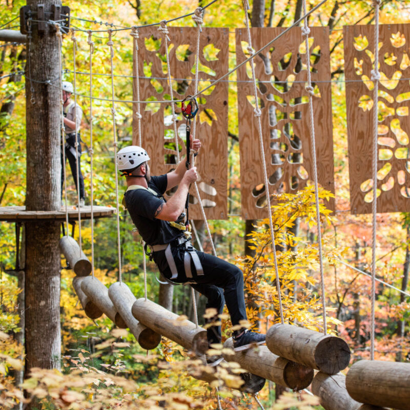 Inside Arbor Adventure