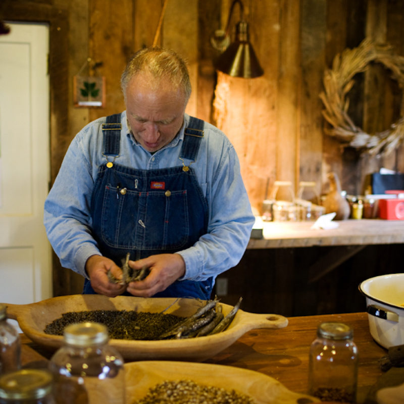 Shelling Bees