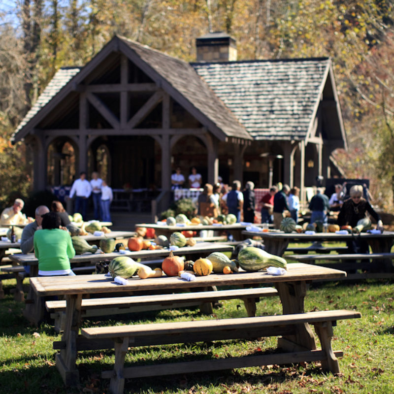 Fall Harvest Festival