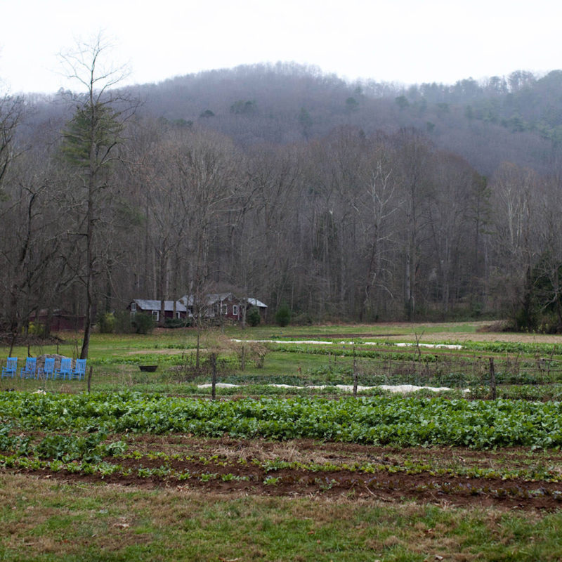 December Garden