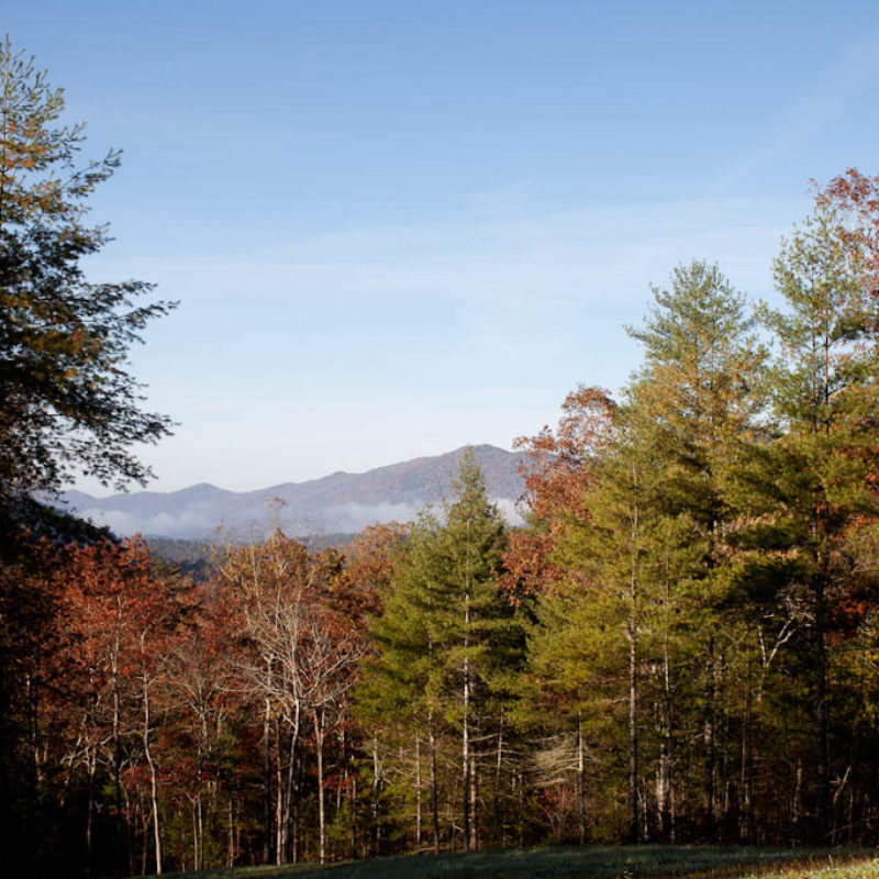 Blackberry Farm Friends of the Farm 124 Year Old Mystery