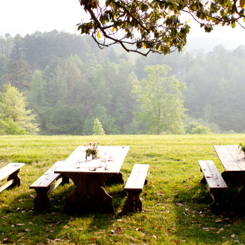 A Beautiful Blackberry Day