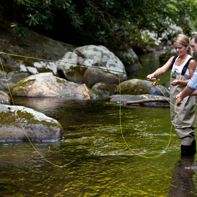 Summer Water Pairings
