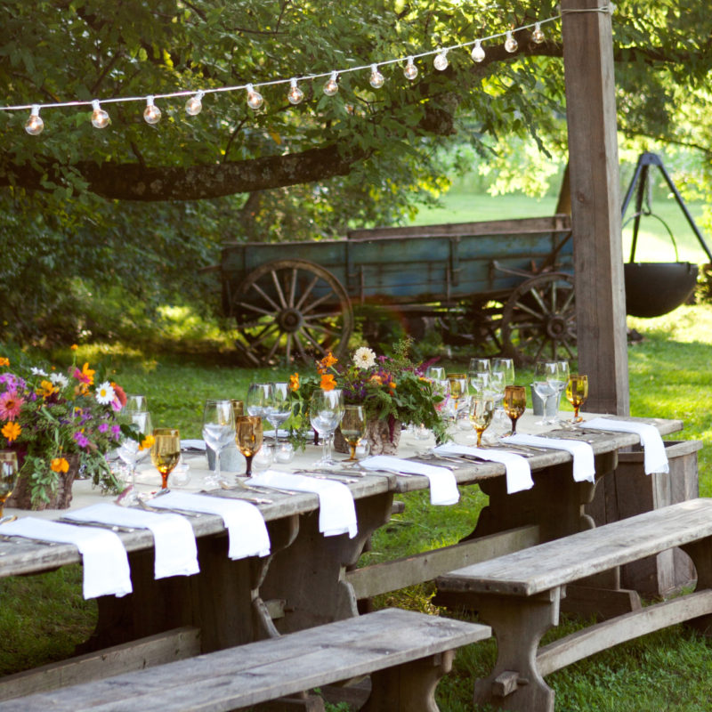 Dinner in the Garden