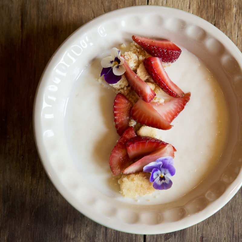 Sheep's Milk Panna Cotta