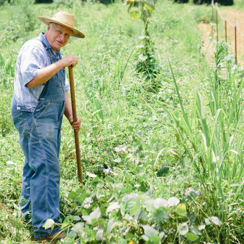 Deeply Rooted - A Documentary with John Coykendall