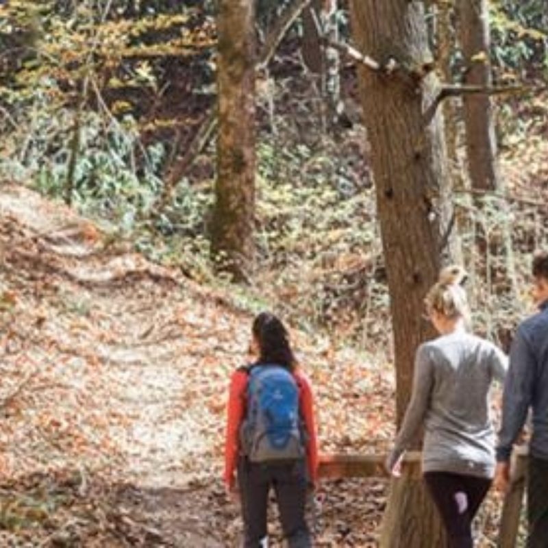 Top 5 Hikes for Winter