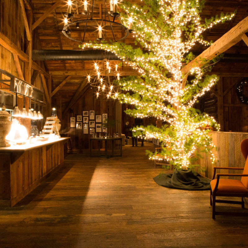 Christmas Greenery