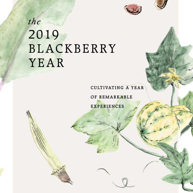 Cultivating the 2019 Blackberry Year