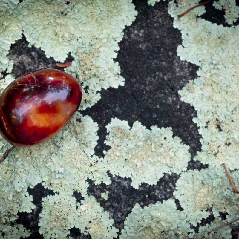 Quick Crystal: Carnelian