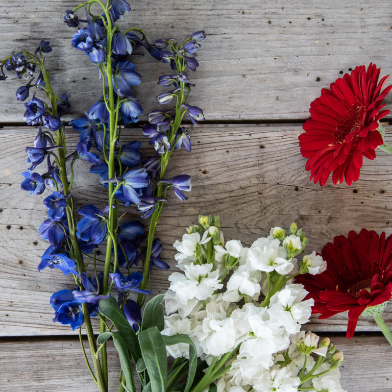 Flowers for the Fourth