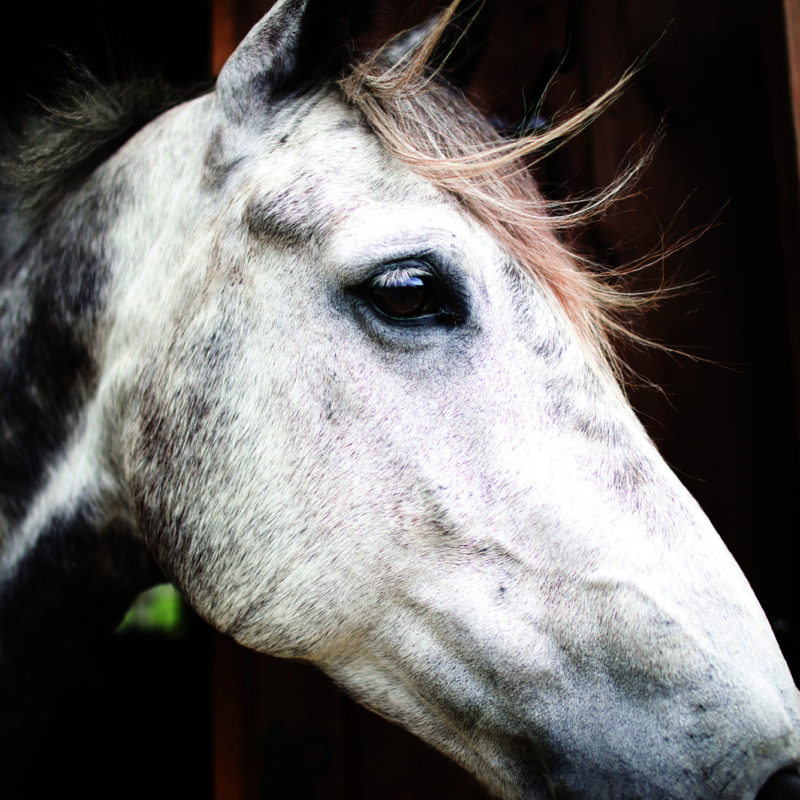 A Change of Perspective