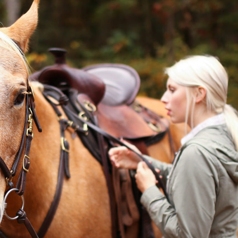 Natural Horsemanship at the Farm