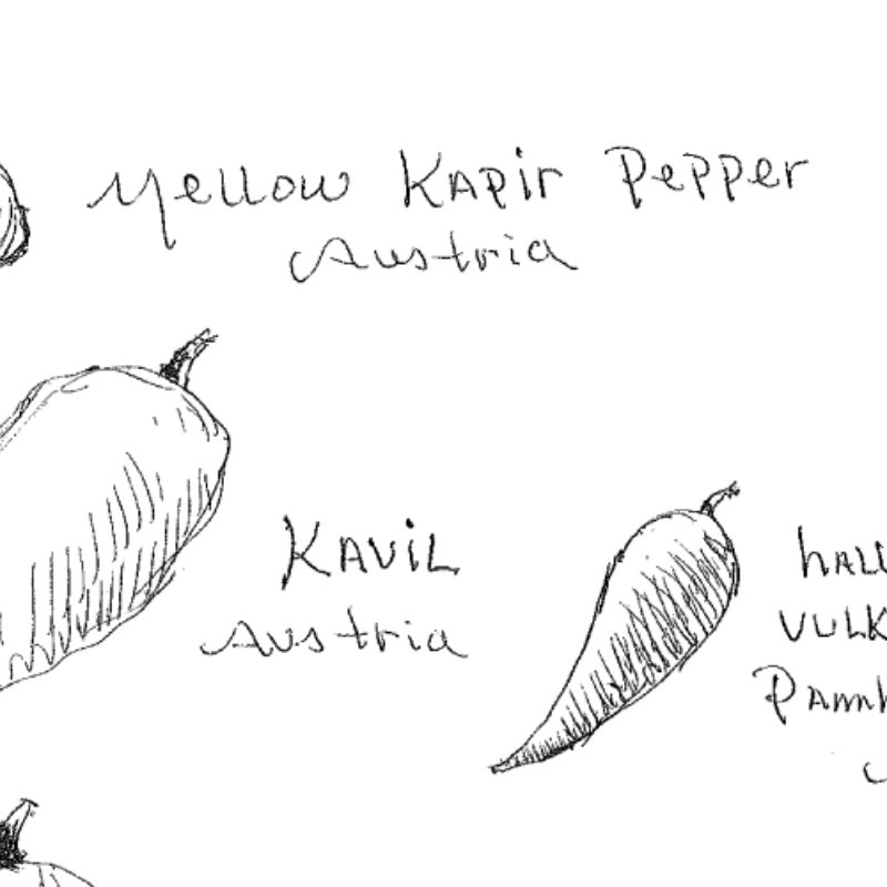 Peppers