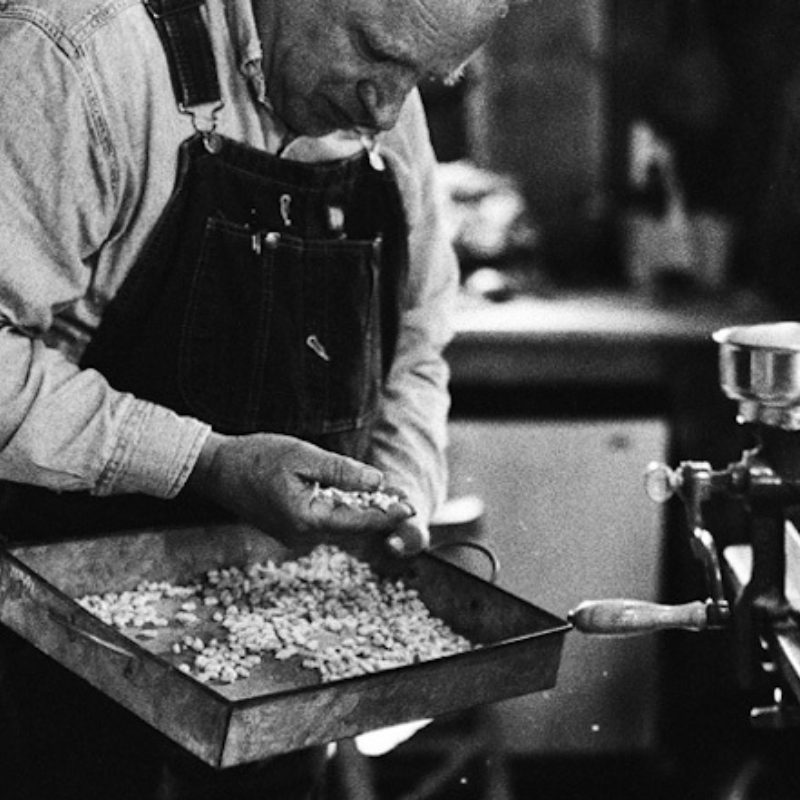 January in the Garden