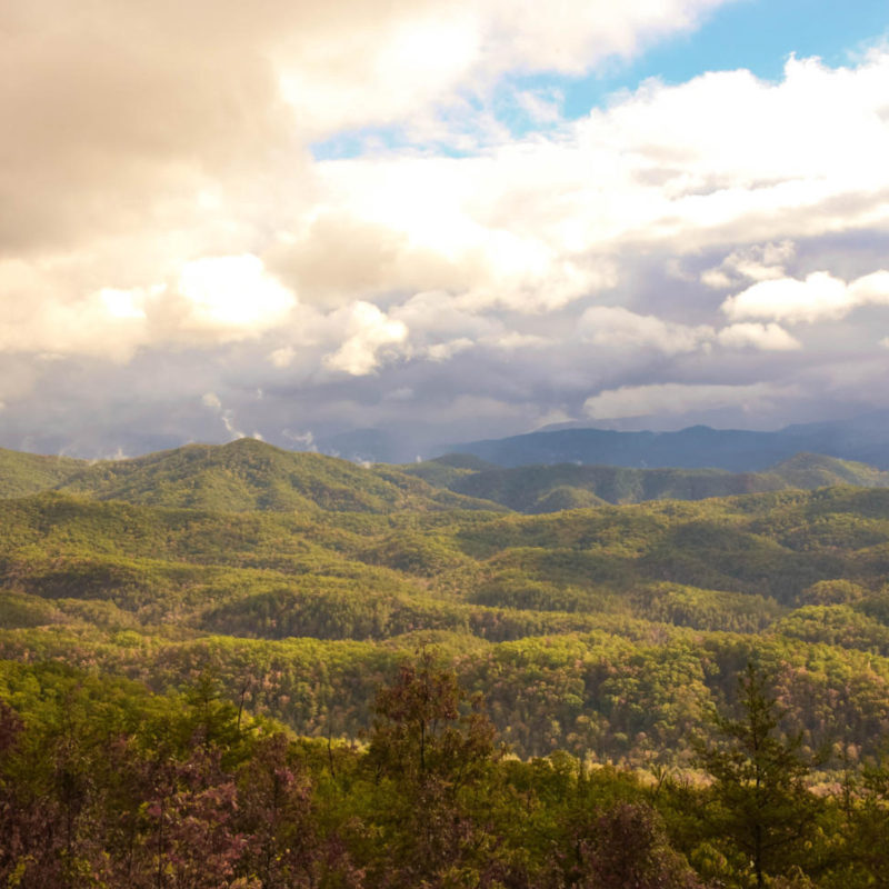 From Conservation to Connection