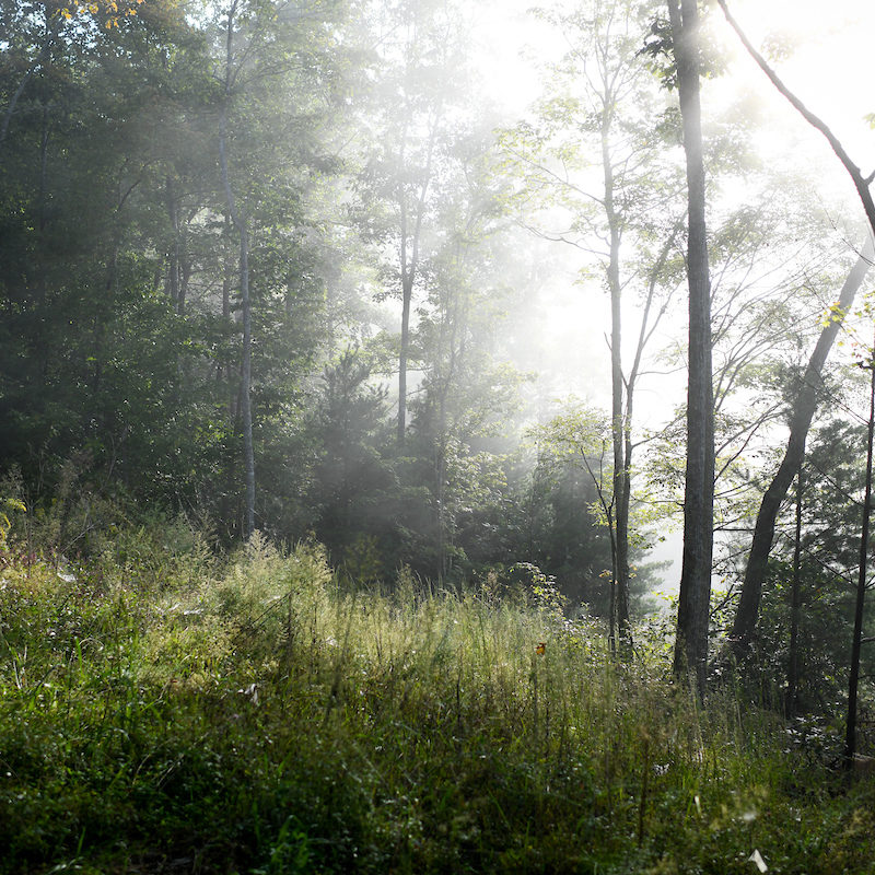 The Benefits of Sunshine