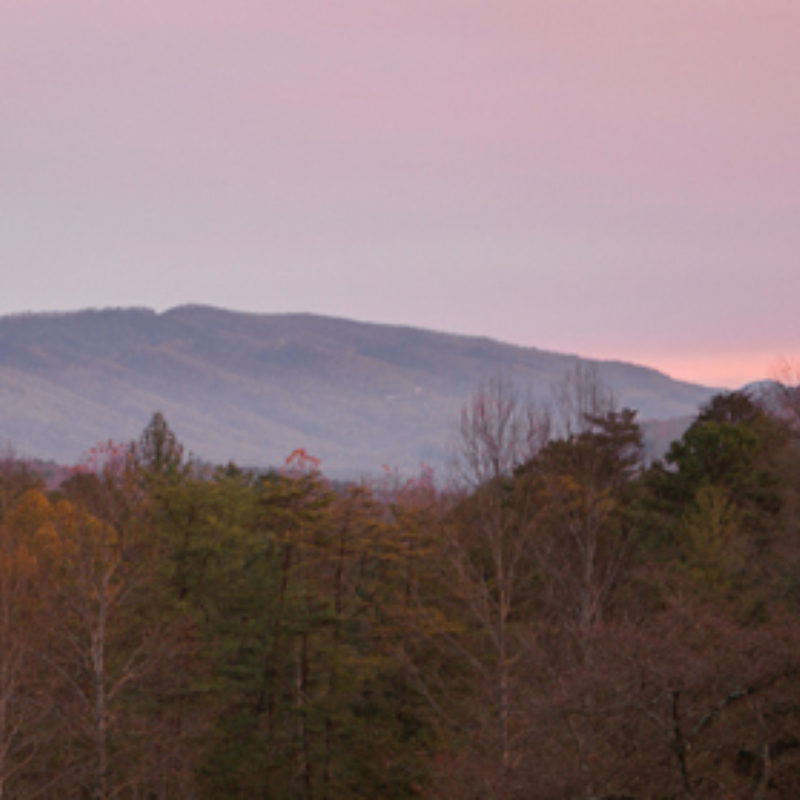 A Great Year of Dawns