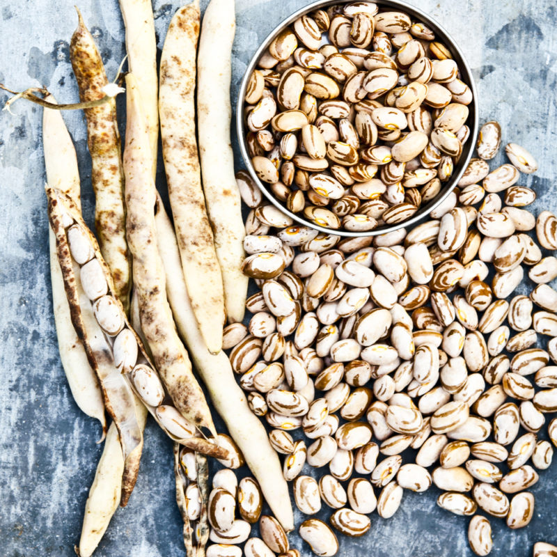 A Tale of Three Beans