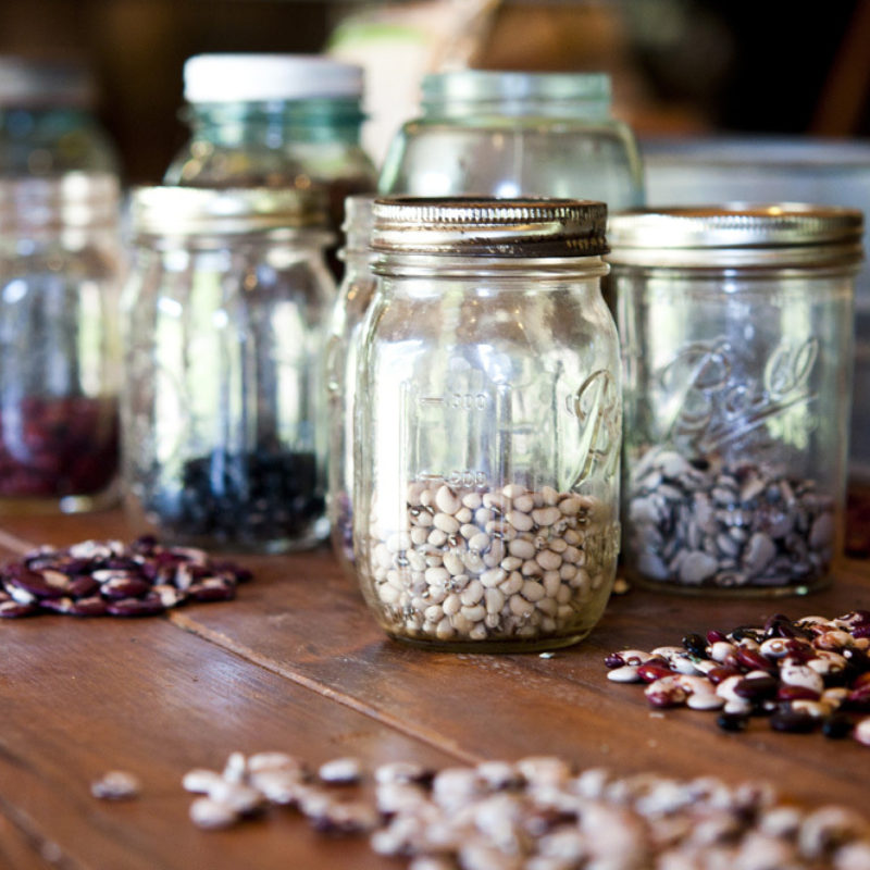Saving the Seeds From By Gone Times for Future Generations