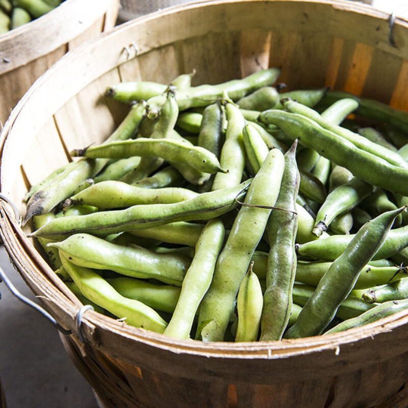 Stove Pipe Peas and the Grove Pepper