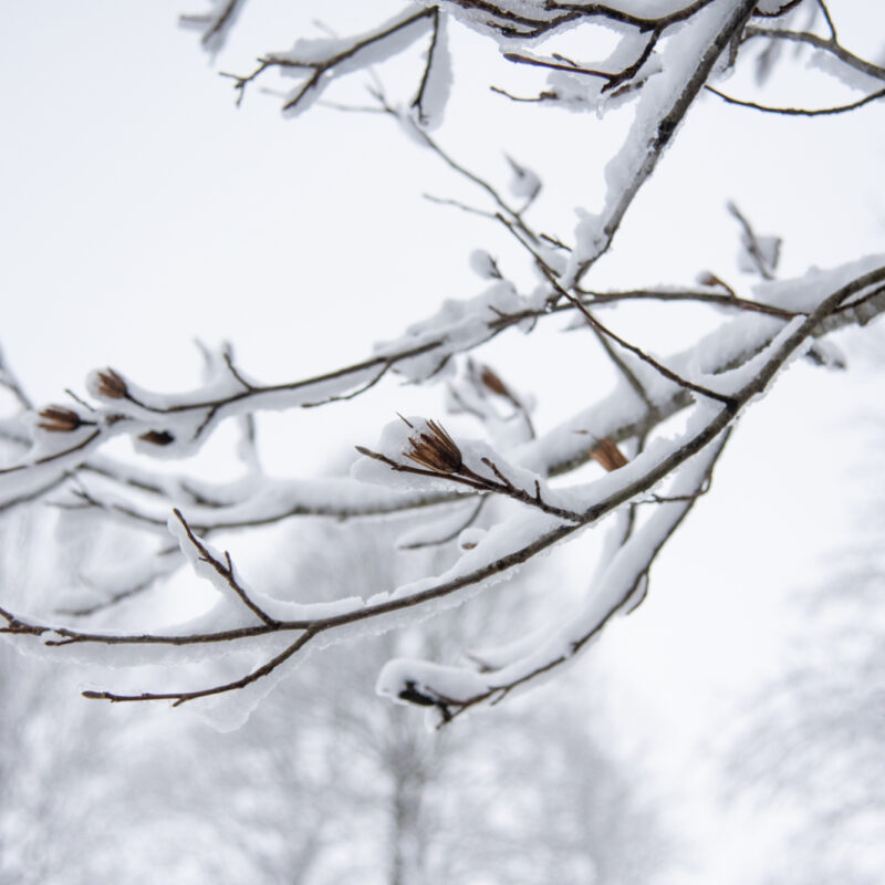 Reflect and Move Forward