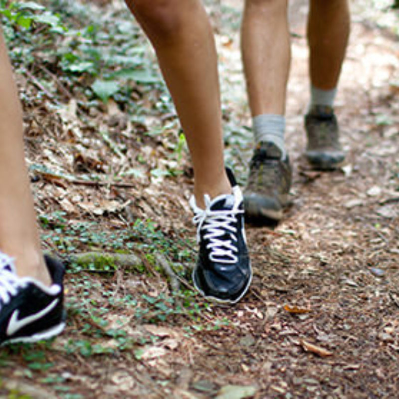 Keep Your Eyes up this Fall