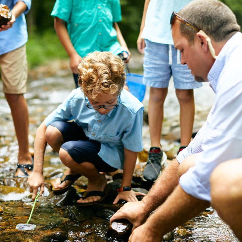 Jump in For Stream Exploration