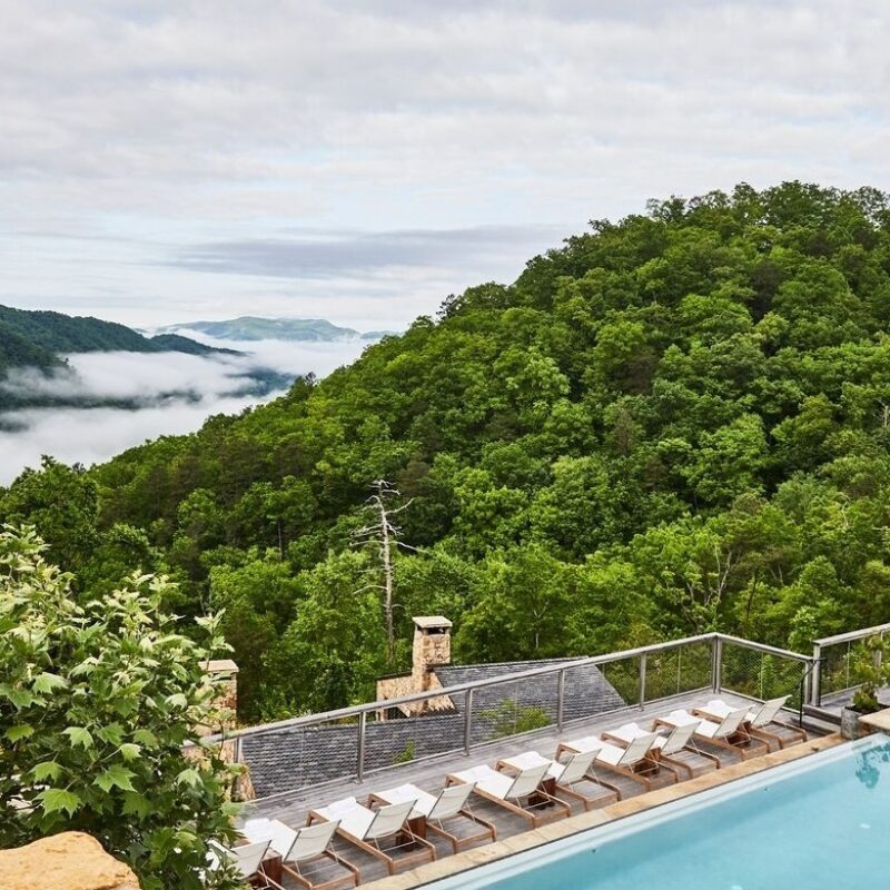 A Day at Blackberry Mountain