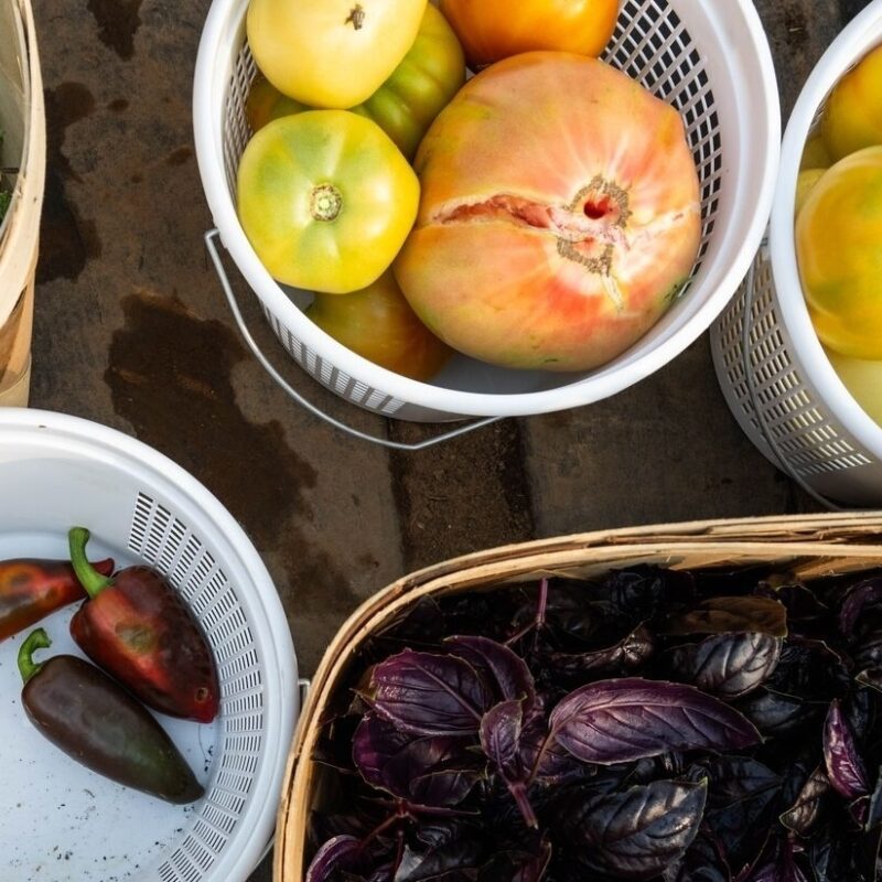 Keeping Our Agricultural History Alive