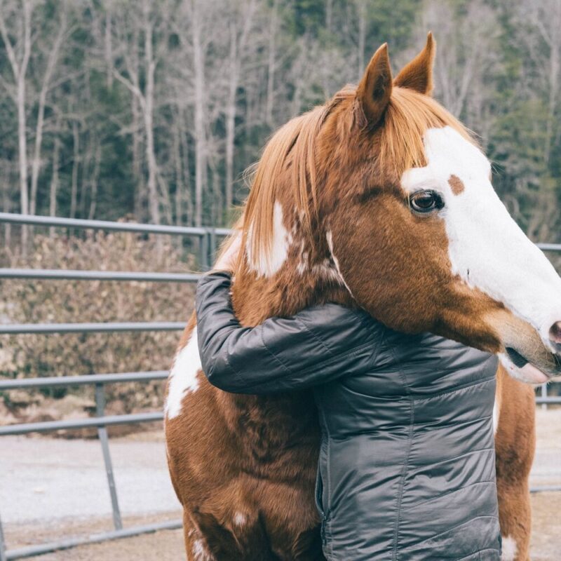 An Unexpected Partner