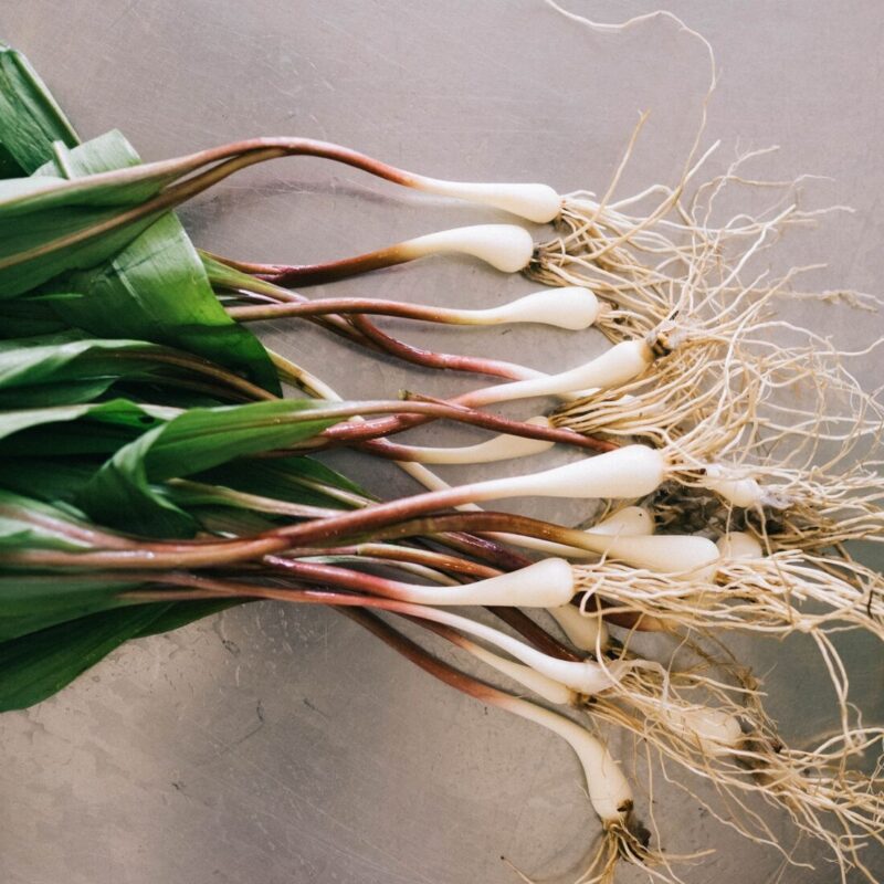 From Ground to Gibson