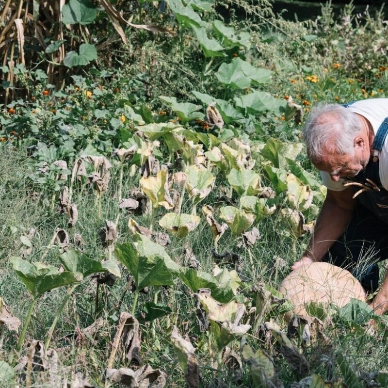 Capturing Fleeting Scenes and Moments in Time